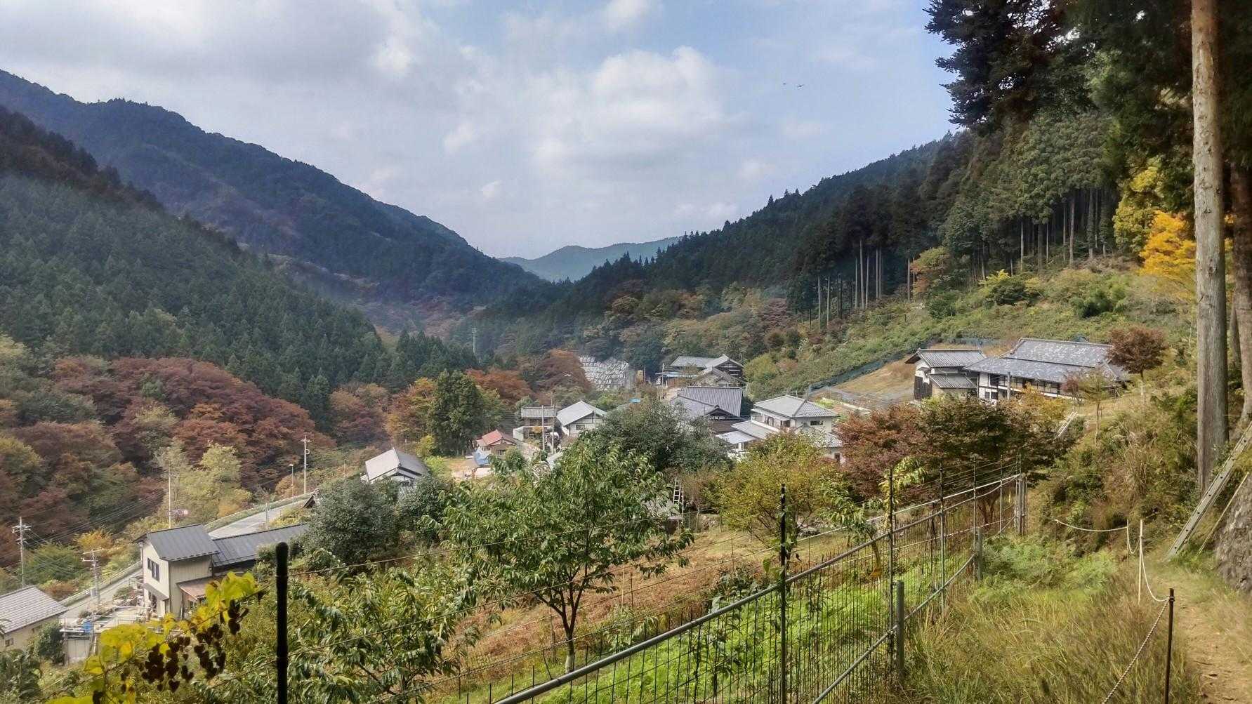芦ヶ久保駅-大野峠-丸山 縦走コースの写真
