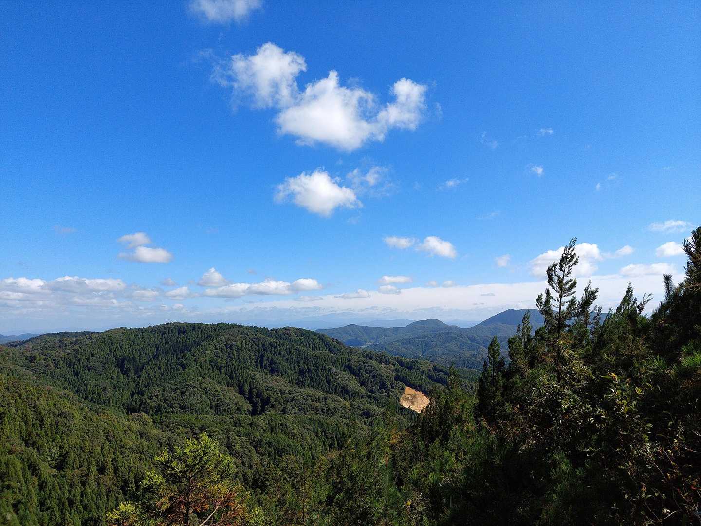 若須岳 往復コースの写真