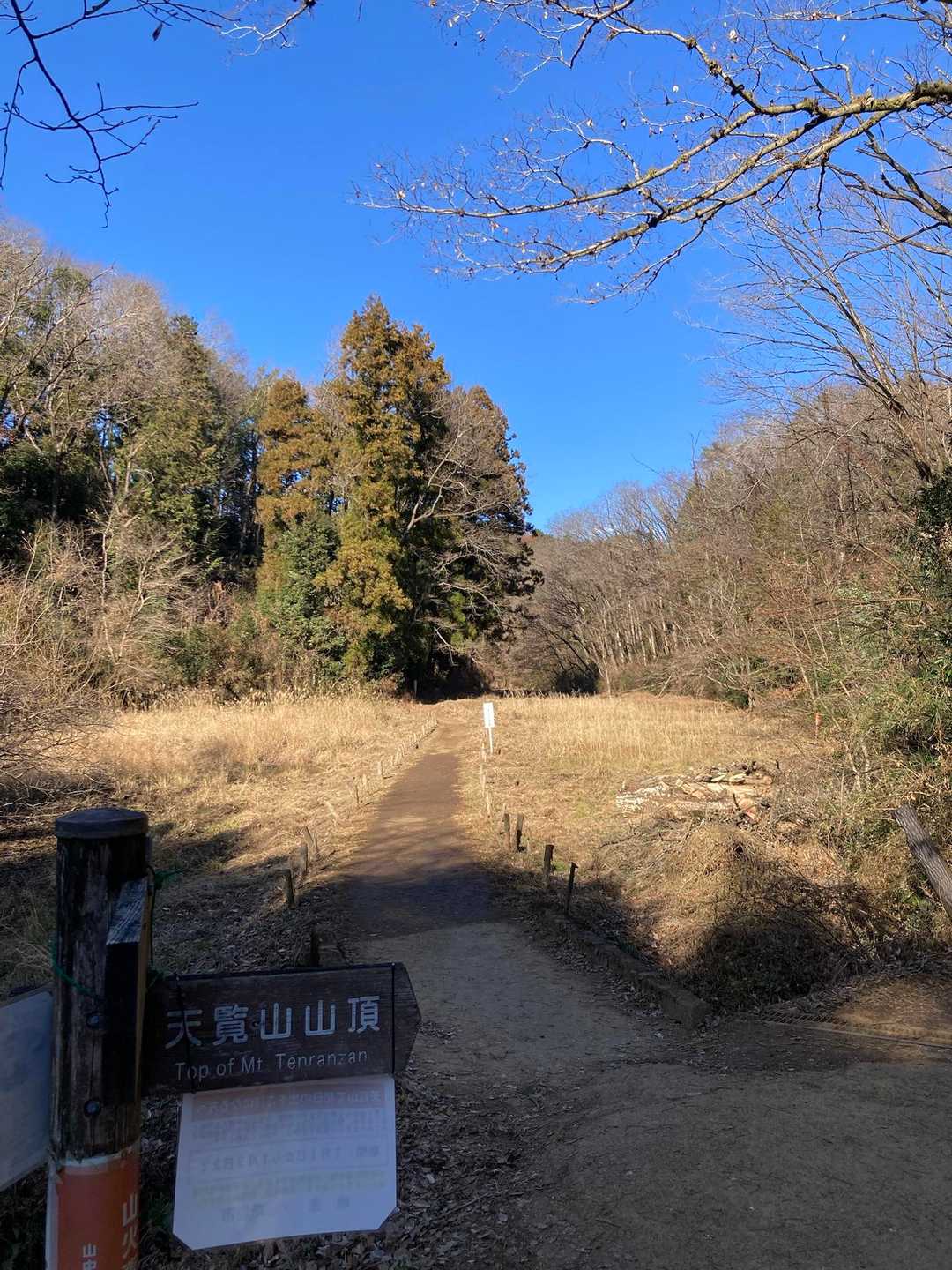 少しだけ高い山から、見える世界を変えてみる。これぞ山歩向きの低山・天覧山の写真