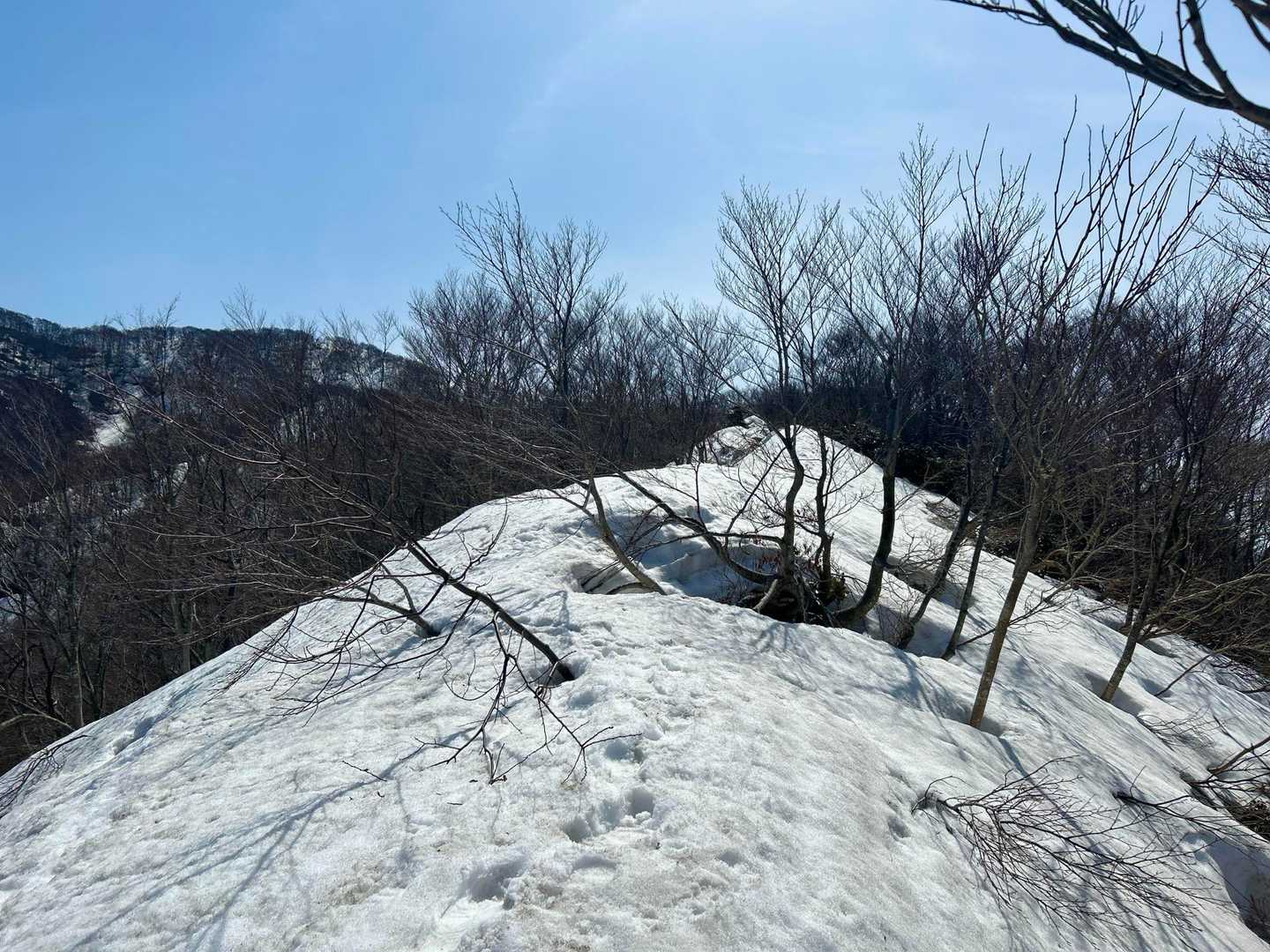 我谷登山口-小リス平-富士写ヶ岳 往復コースの写真