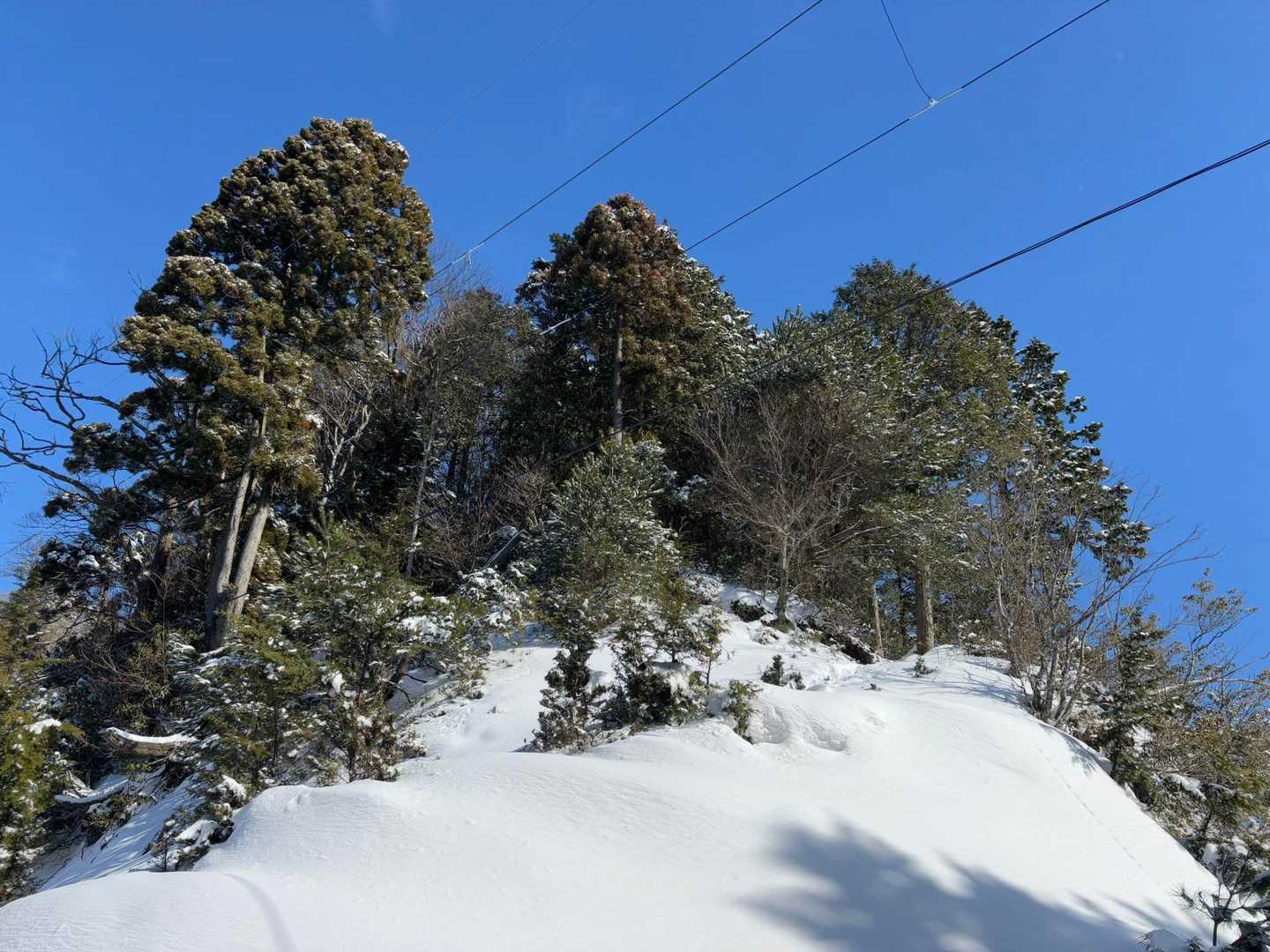 正しいのはこの丘を超えます💦