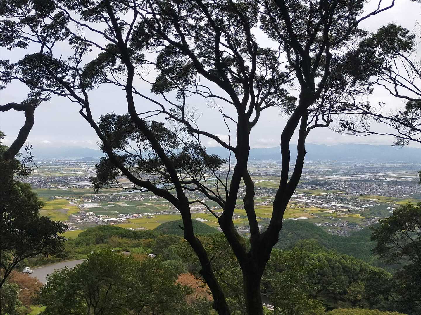 山頂より古処山方面。
ここから、田んぼの稲🌾の色が黄金色になっていくのを眺めるのも楽しみのひとつ。