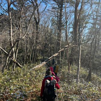 『ガロ山』山頂へ