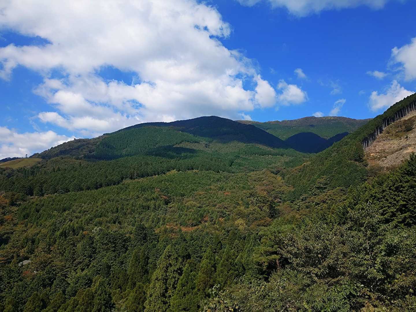 舗装路からの那岐山が1番キレイ😍