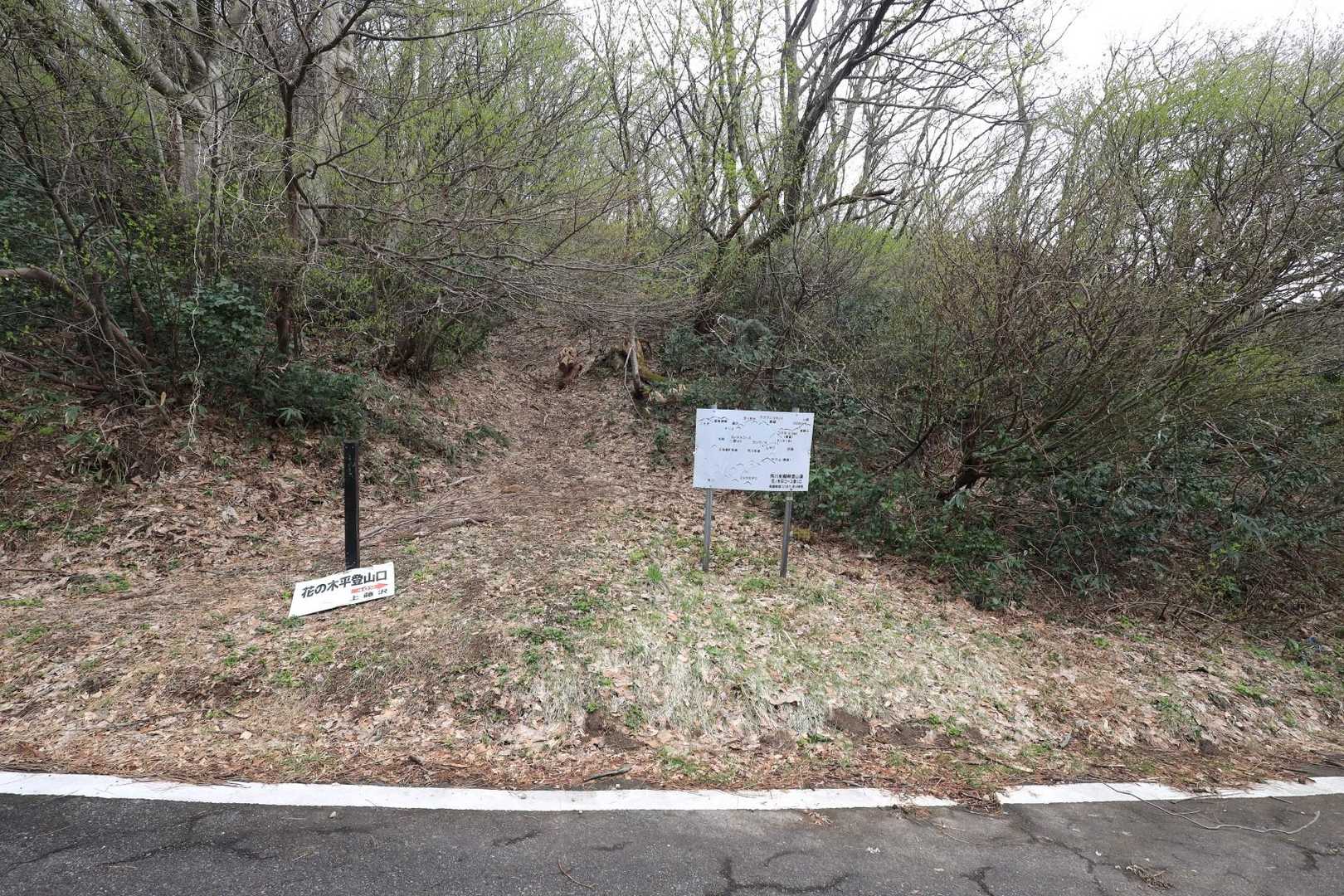 花ノ木平登山口