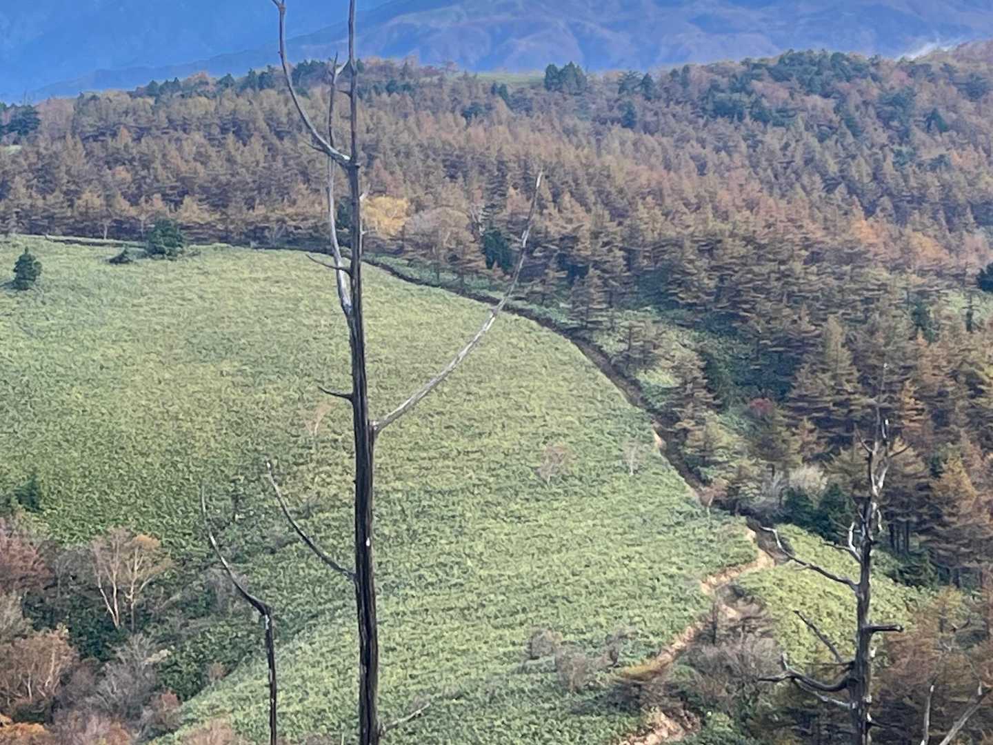 横川山手前で振り向いたこの景色も好きなんだよなぁ♪

自分のプロフィールの背景の景色もココだったかな？あの時は、霧氷が付いて、すごい綺麗だったからなぁ💕