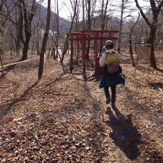 スリーナインの音楽を口ずさみながら🚂999🎶✨