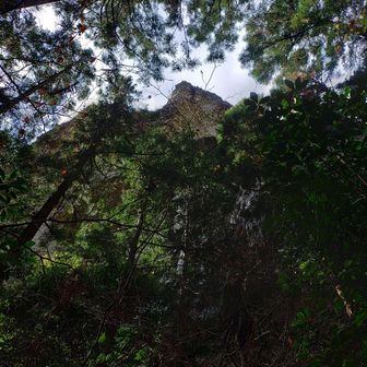 木の間から、鬼岩🪨
デカくて、カッコいい
まるでお山のピークだね✌️