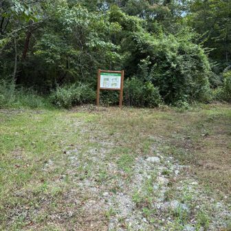 久々の逢山峡。そう、ここを右へ。
左からも沢を遡上しながら水無滝まで行けるんよなー。冬になったら行こうかなー

ん゛？🫪
これ、鬼ヶ島行くルートやん😂😂😂

有馬口駅でYAMAP開始してスマホ見ずに何も考えず歩いてた。。ここまで17分。沢装備で鬼ヶ島越えるのは無理なので戻るので、30分のロス🥲
痛恨の道間違い😑