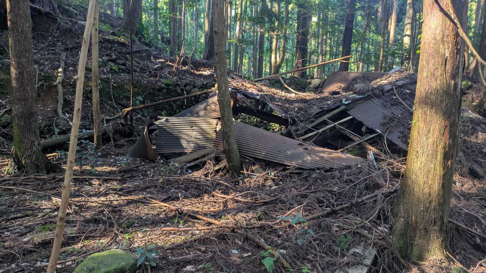 烏帽子山俵石登山口-烏帽子山 往復コースの写真