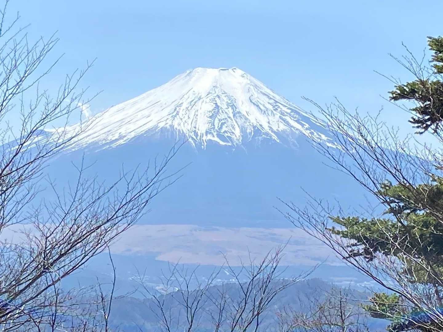 道坂隧道入口バス停-道坂峠-ガンギ沢ノ頭-岩下ノ丸-マエダ 縦走コースの写真