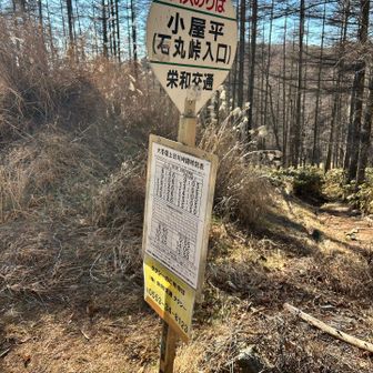 バスは15日で終了☑️