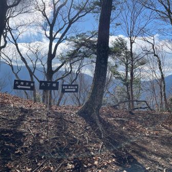 2時間強で八丁越に到着
強風に吹きさらされ慌ててアウターを羽織りました