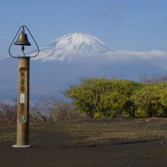 山法師