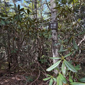 水師　ここの登りはかなり効きます。