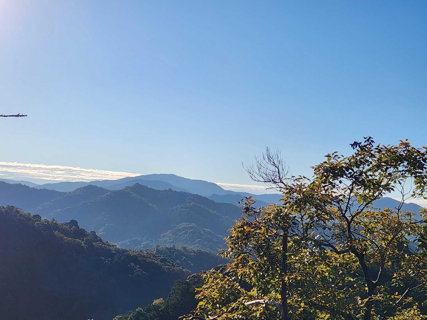 おおだの森登り口-おおだ山-新嶽山-新嶽山登山口 周回コースの写真