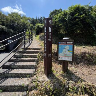 さてさてまた登ります