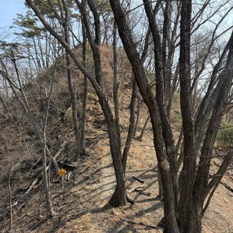 ここから仙人ヶ岳へ向けての試練がはじまります！

まずは子仙人への登り