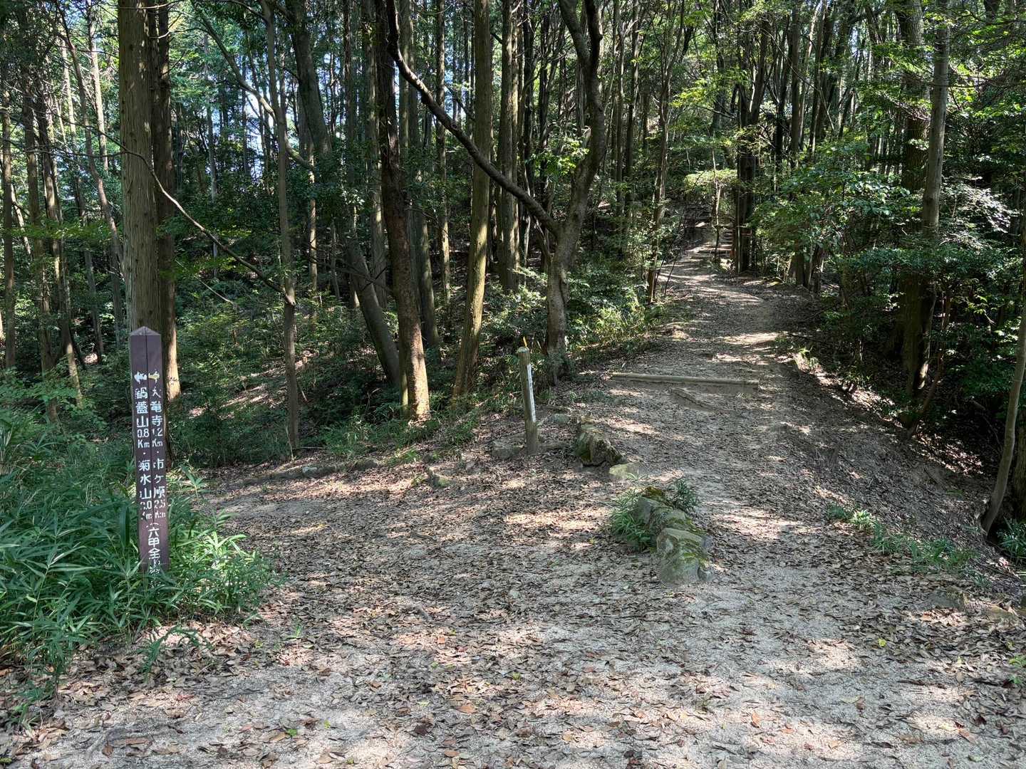 森林の緑に囲まれながら🌲