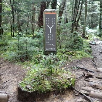 初日は三伏峠小屋のテント場にテントを張り、不要な荷物をテントに置いてから烏帽子岳と小河内岳へ

この分岐から烏帽子岳・小河内岳、そして水場へは右へ
塩見小屋や塩見岳へは左へ