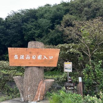 誘惑に打ち勝ち、登山口に着いたにゃ😺