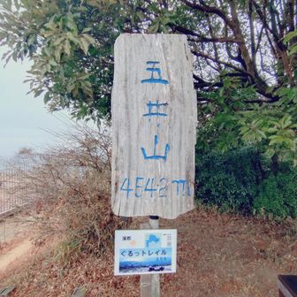 蒲郡ぐるっトレイルの最高峰ですね❗️