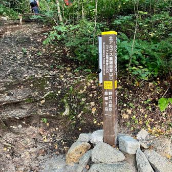 今回の山行の１番の楽しみ⁇であるブナ立て尾根登山口
日本三大急登、北ア三大急登の両方に選定されており、標高差1,300mを一気に登ります💦