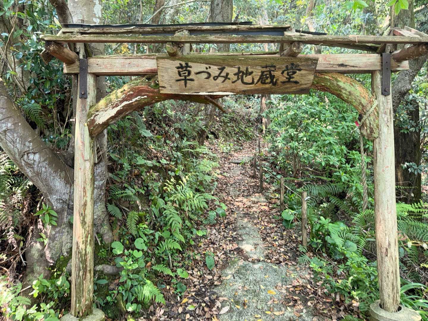 七ッ岳 往復コースの写真
