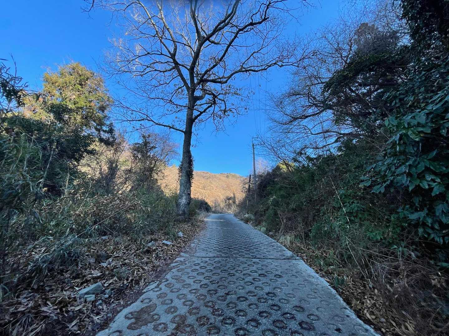 まずは舗装路歩き〜
地味に長い登り🐢…