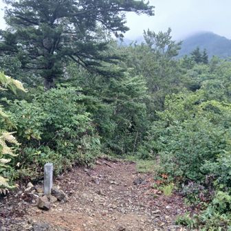 三合目　登るにつれ雲があがっていくことを祈るが全然ダメ