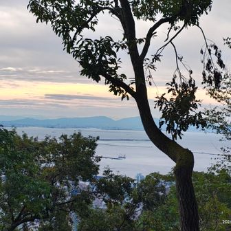 城山の東屋の先の眺望👀