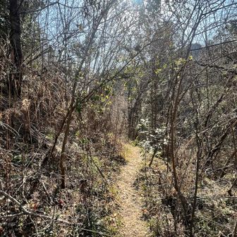 ということで、この日はここからエントリー