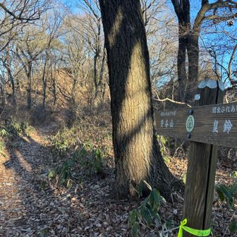 さて次の山を目指します🚶