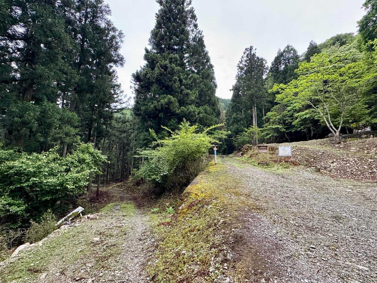 それでは気を取り直して
30分林道を歩き分岐の所
行きは左の双門ルートへ
帰りは右の金引尾根から下りてきます