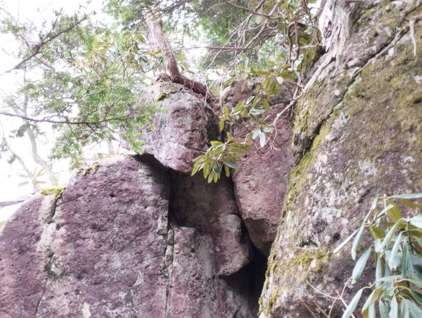 合格岩(落ちない岩）