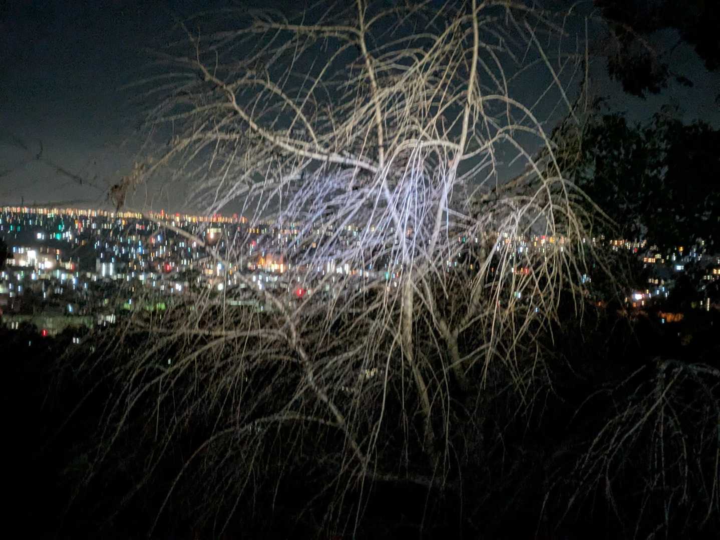 登る途中で朝倉の夜景を見る