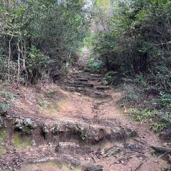 各務原権現山への急登💦