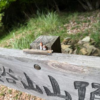 ここにも癒しが👇
