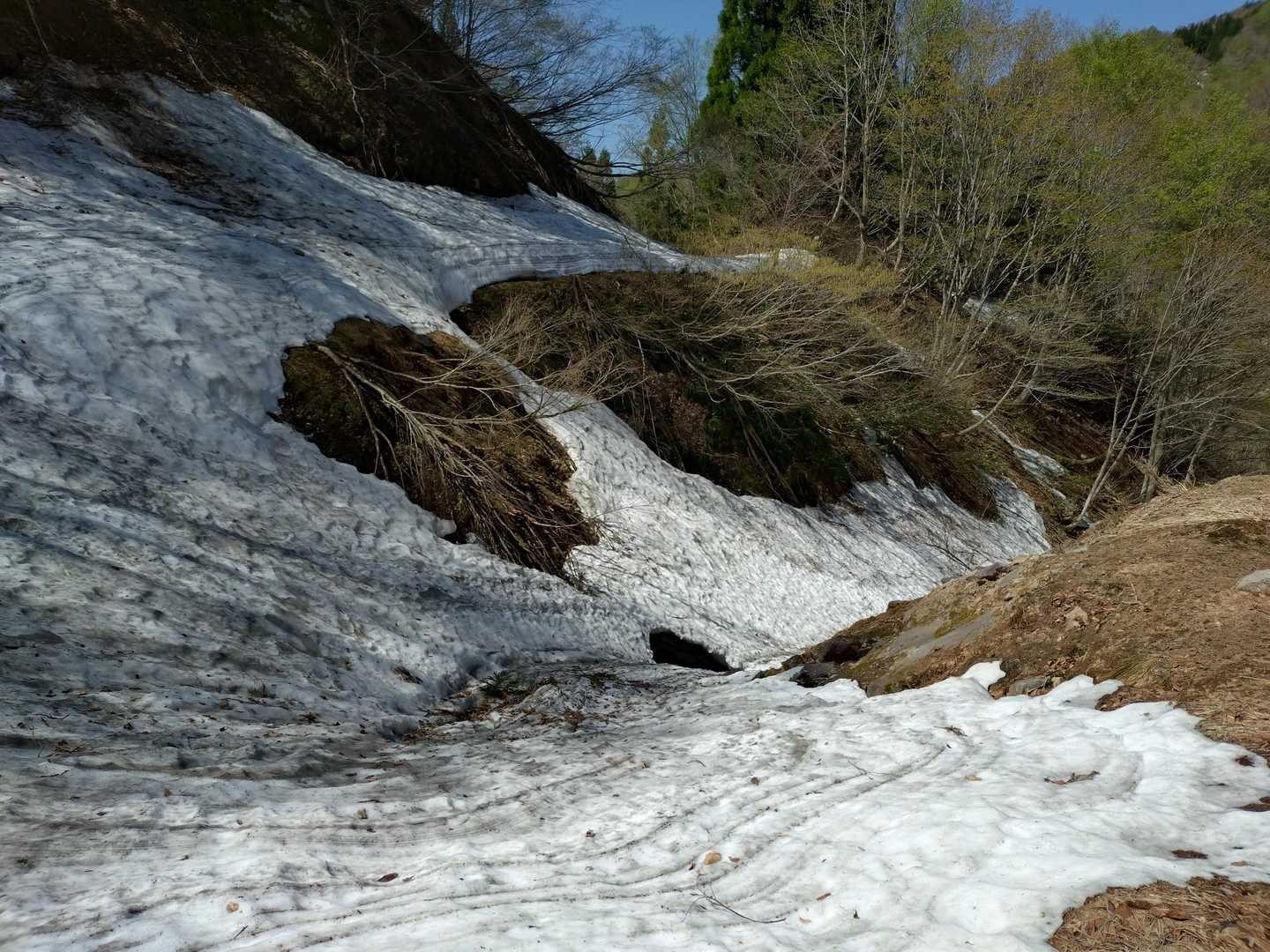 ふるさとの森登山口-扇ノ山 往復コースの写真