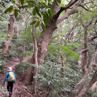 どこか遠くの場所のような…