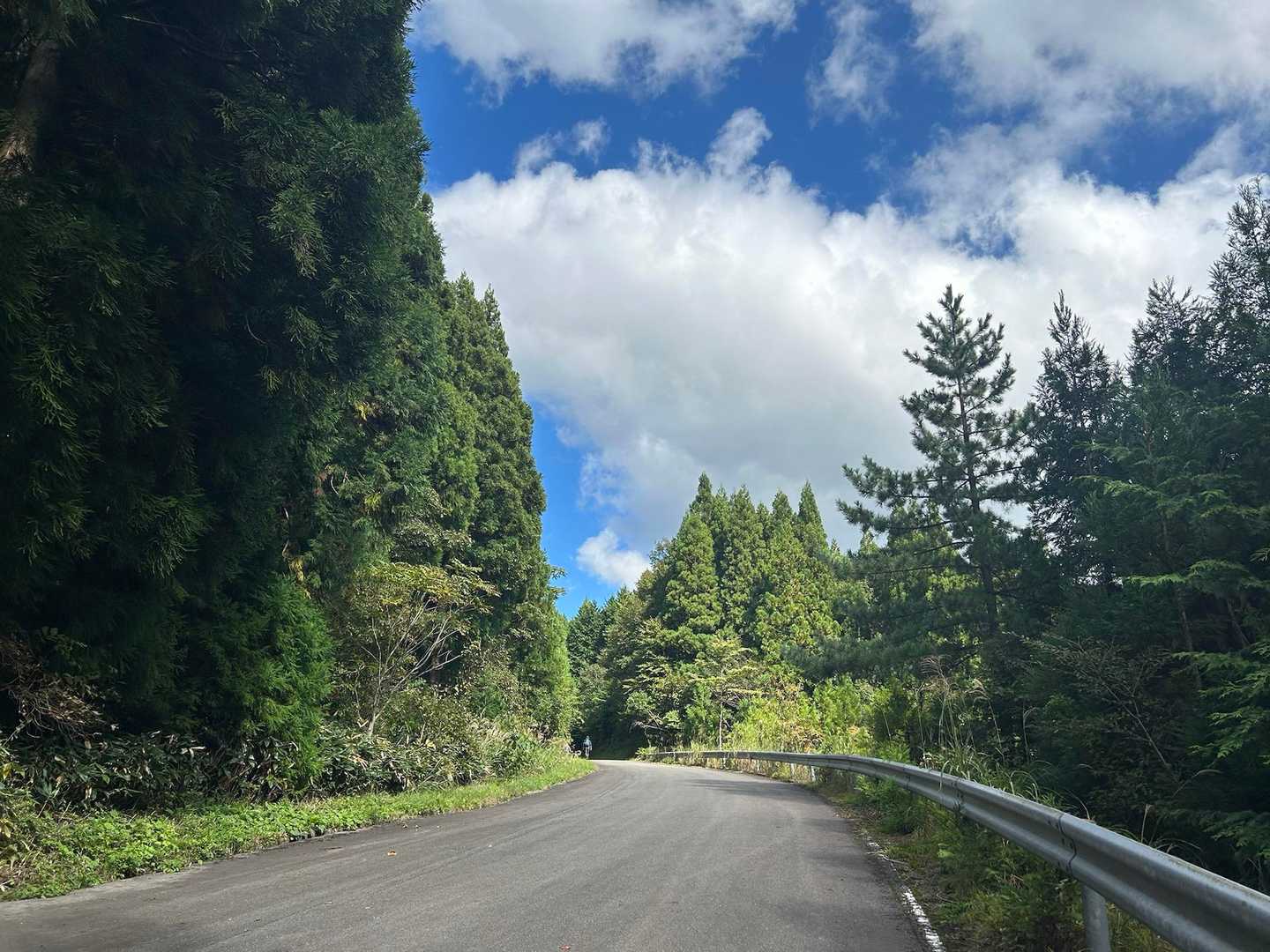 舗装道を歩いて駐車場🅿️へ