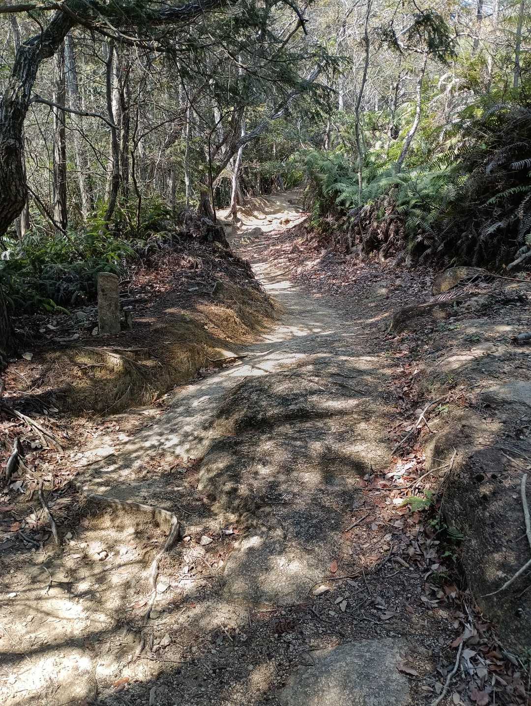 登山道は非常に整備が行き届いてます