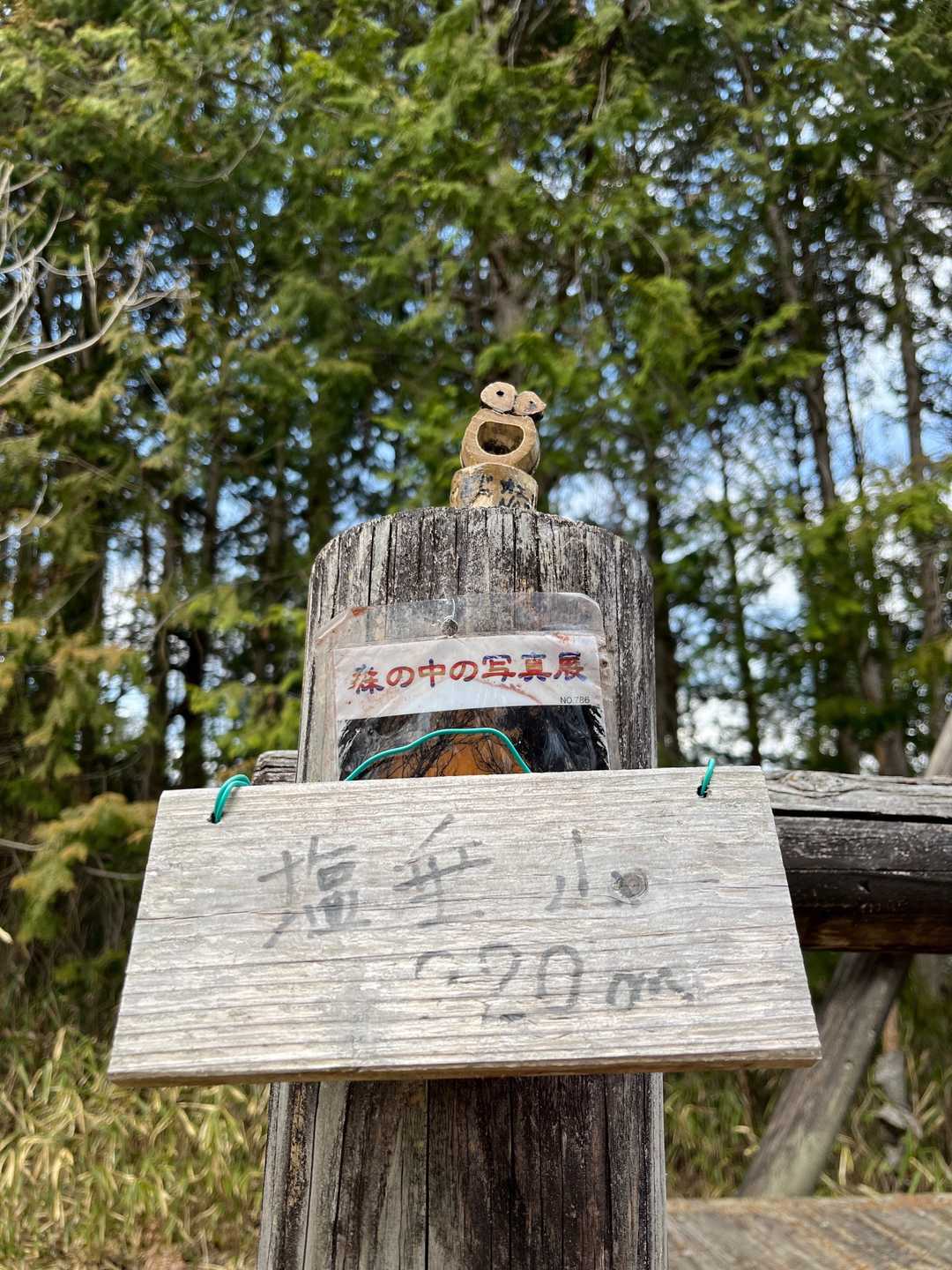 塩垂山‥‥塩ダレ🥩🧂
美味しそうな名前です笑
