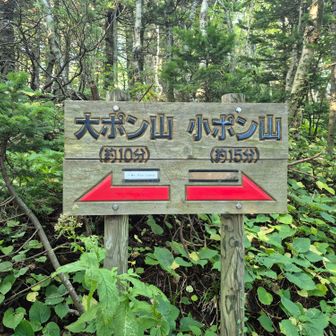 ここで問題です。最初はどちらに向かうでしょう⬅️➡️