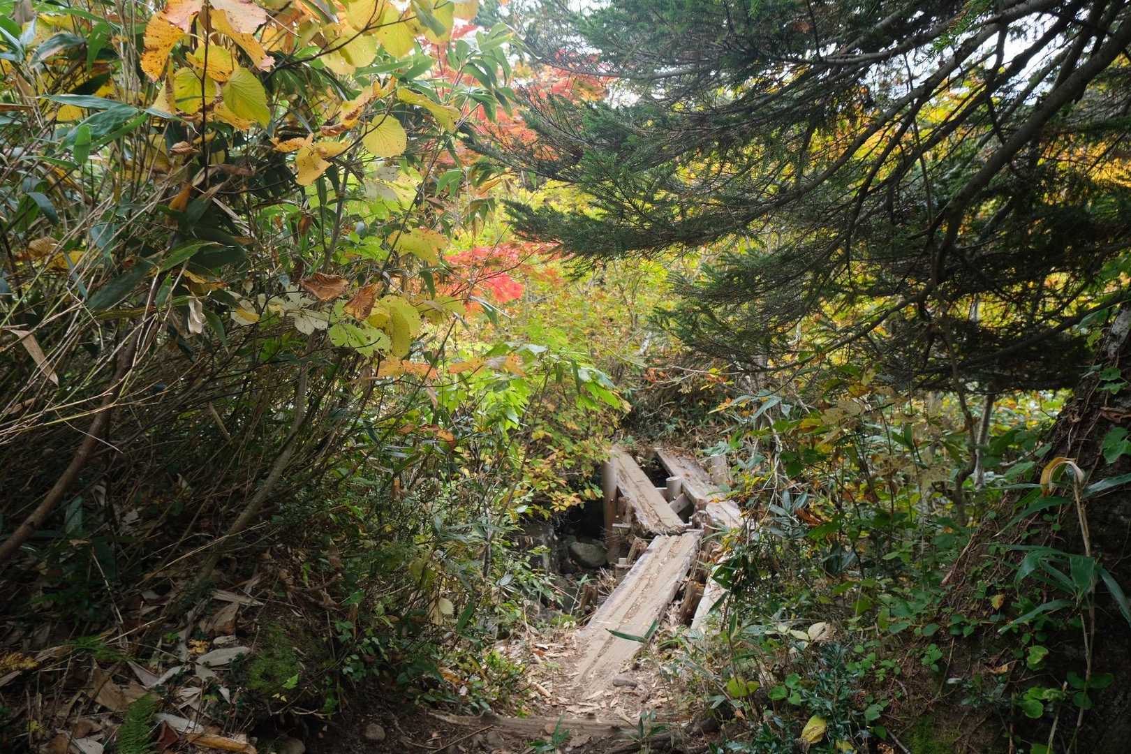 山頂公園駅-毛無岱湿原経由八甲田登山道入口 縦走コースの写真