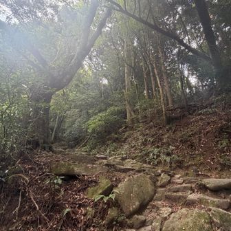 今日に合わせたから約1ヶ月ぶりの宝満山⛰️
やっぱりこの道好きやなぁ😊