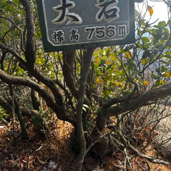 大岩の奥がビュースポットやったよ♡