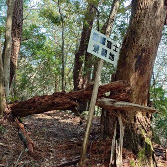 いや、全く富士山は見れません💧(笑)