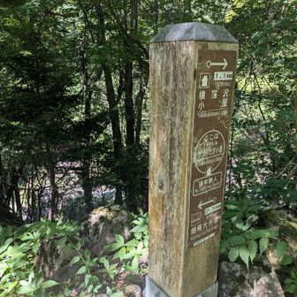 ウソッコ沢小屋🛖到着