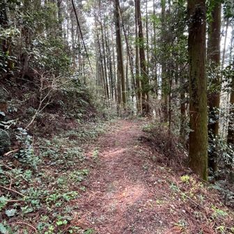 The trails were mostly up and down with very few flat spots like this. But all the trails were well-maintained and well-marked. 